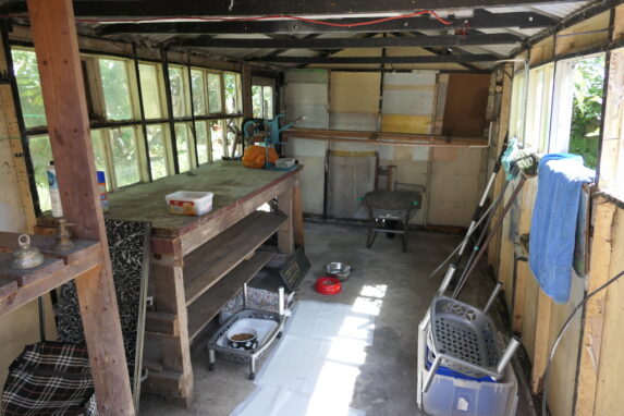  - Image 13
