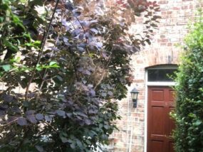 Redbridge Grove, Chorlton